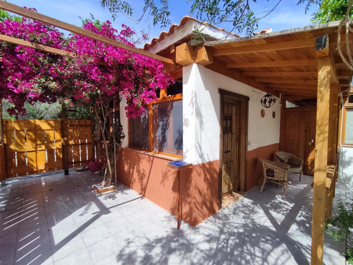 Apartamento El Grifo Carmona  Exterior photo